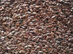 岑岑吃瓜 omega,Omega视角下的娱乐圈风云录