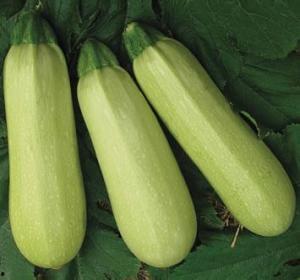 桐乡石门最新吃瓜,揭秘最新“吃瓜”事件背后的真相