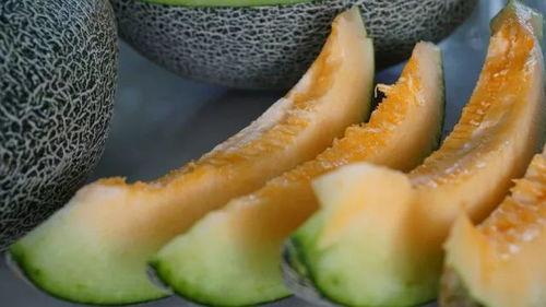 清哥带你吃瓜,畅游味蕾盛宴之旅