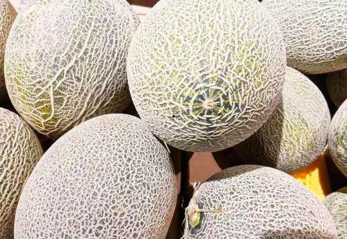 花蜜瓜吃的不甜,为何花蜜瓜吃起来的不甜之谜