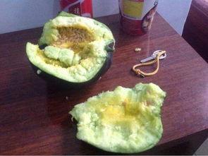 以前经典吃瓜,揭秘娱乐圈那些不为人知的幕后故事