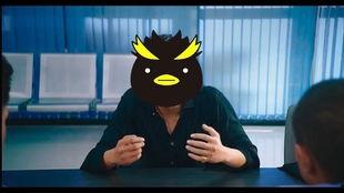 企鹅吃瓜图片大全