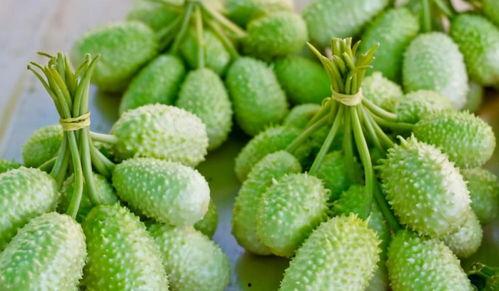 关于台湾吃瓜,一场味蕾与历史的吃瓜之旅