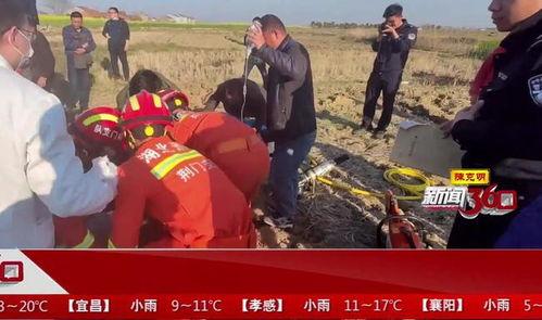 荆门吃瓜事件视频,一场网络热议的真相揭秘