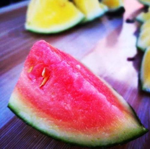 山东大姨吃瓜,山东大姨的瓜田奇遇记