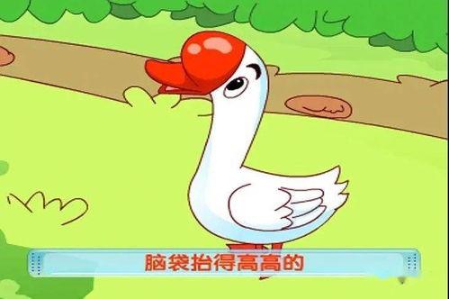 鹅大哥吃瓜故事,一场吃瓜引发的欢乐盛宴