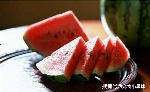 田哥吃瓜,揭秘娱乐圈幕后故事