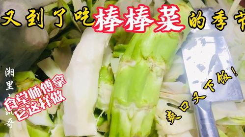 阳谷老师吃瓜,揭秘娱乐圈幕后故事