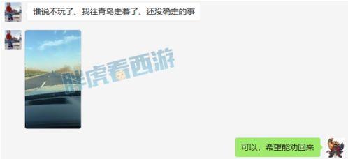涛哥在线吃瓜