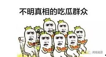 迪士尼的吃瓜群众,揭秘游客的欢乐日常
