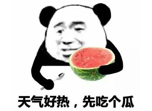 吃瓜真人表情包,趣味横生的网络文化现象